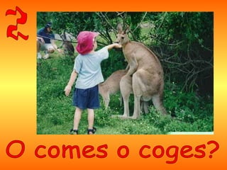 3º - Equivocarse es humano, pero buscar a quien echarle la culpa es más humano todavía.