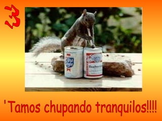 4º -Lo importante no es saber, sino tener el telefóno de quien sabe.