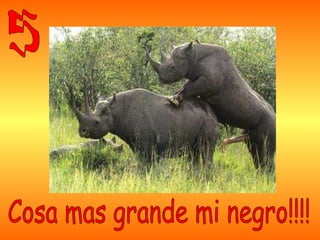 6º - Es bueno dejar la bebida. Solo intente recordar donde.