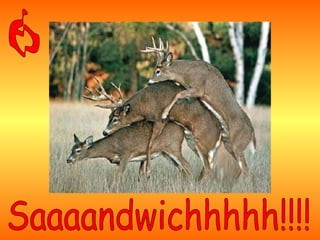 7º - Existe un mundo mejor, Pero es carísimo.