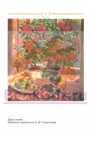6 razumovskaya 2010