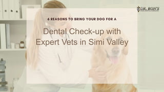 Dental Check-up with
Expert Vets in Simi Valley
 