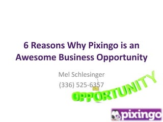 6 Reasons Why Pixingo is an 
Awesome Business Opportunity 
Mel Schlesinger 
(336) 525-6357 
 