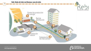 Redes de calor urbanas con biomasa