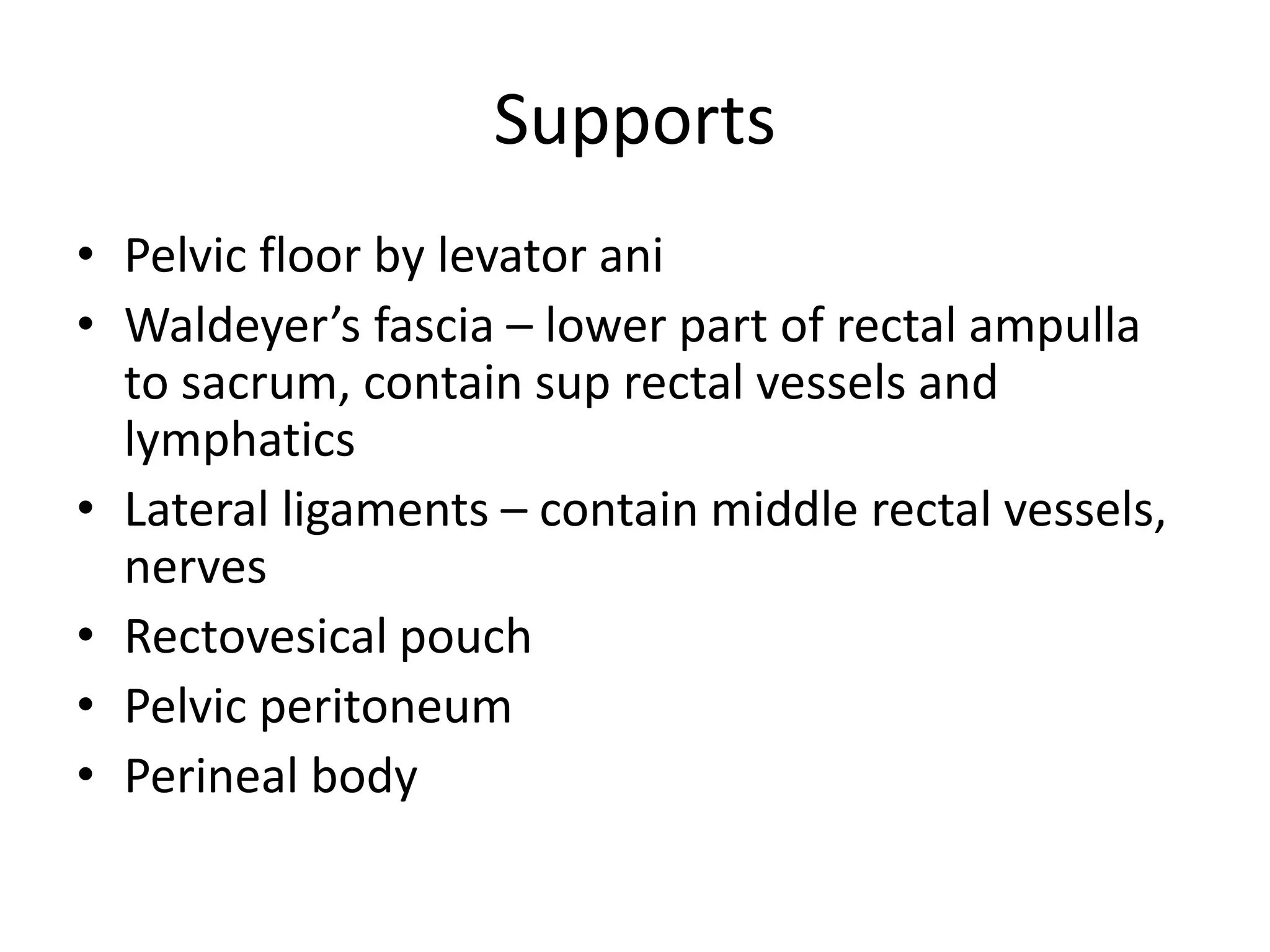 Anatomy of Rectum | PPTX