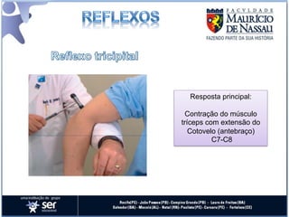 Resposta principal:

  Contração do músculo
tríceps com extensão do
   Cotovelo (antebraço)
          C7-C8
 