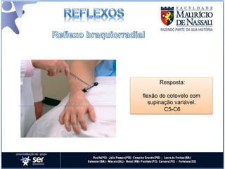 Resposta:

flexão do cotovelo com
   supinação variável.
         C5-C6
 