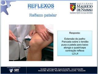 Resposta:

  Extensão do joelho
Pancada sobre o tendão
puxa a patela para baixo
  alonga o quadríceps
    contração reflexa
          L2-L4
 