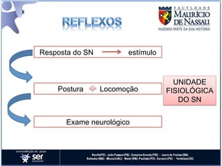Resposta do SN         estímulo



                                    UNIDADE
    Postura      Locomoção        FISIOLÓGICA
                                     DO SN


      Exame neurológico
 