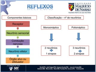 Componentes básicos      Classificação – nº de neurônios

    Receptor
                      Monosináptico            Polisináptico

Neurônio sensorial

    Condução
     nervosa
                       2 neurônios              3 neurônios
 Neurônio efetor
                        1 sinapse                2 sinapse

  Órgão alvo ou
    efetuador
 