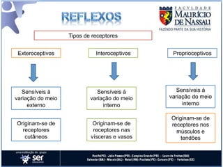 Tipos de receptores


 Exteroceptivos              Interoceptivos    Proprioceptivos




   Sensíveis à                Sensíveis à        Sensíveis à
variação do meio           variação do meio   variação do meio
     externo                    interno            interno

                                              Originam-se de
Originam-se de              Originam-se de    receptores nos
  receptores                receptores nas      músculos e
   cutâneos                vísceras e vasos       tendões
 