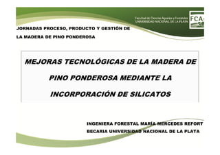 MEJORAS TECNOLÓGICAS DE LA MADERA DE
PINO PONDEROSA MEDIANTE LA
JORNADAS PROCESO, PRODUCTO Y GESTIÓN DE
LA MADERA DE PINO PONDEROSA
PINO PONDEROSA MEDIANTE LA
INCORPORACIÓN DE SILICATOS
INGENIERA FORESTAL MARÍA MERCEDES REFORT
BECARIA UNIVERSIDAD NACIONAL DE LA PLATA
 