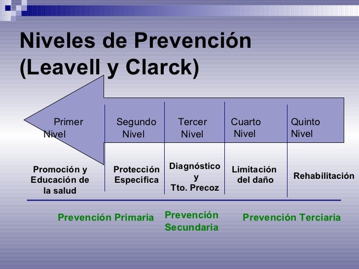 6 remedial niveles de prevencion
