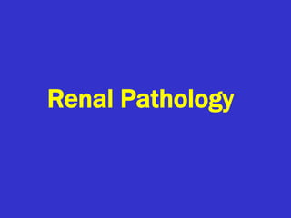 Renal Pathology
 