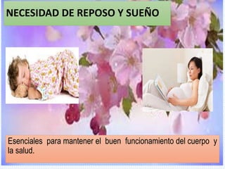 Reposo sueño y reposo | PPTX