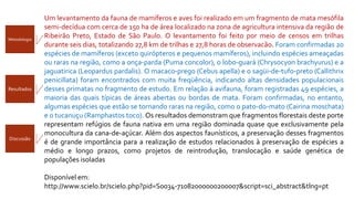 Um levantamento da fauna de mamíferos e aves foi realizado em um fragmento de mata mesófila
semi-decídua com cerca de 150 ha de área localizado na zona de agricultura intensiva da região de
Ribeirão Preto, Estado de São Paulo. O levantamento foi feito por meio de censos em trilhas
durante seis dias, totalizando 27,8 km de trilhas e 27,8 horas de observacão. Foram confirmadas 20
espécies de mamíferos (exceto quirópteros e pequenos mamíferos), incluindo espécies ameaçadas
ou raras na região, como a onça-parda (Puma concolor), o lobo-guará (Chrysocyon brachyurus) e a
jaguatirica (Leopardus pardalis). O macaco-prego (Cebus apella) e o sagüi-de-tufo-preto (Callithrix
penicillata) foram encontrados com muita freqüência, indicando altas densidades populacionais
desses primatas no fragmento de estudo. Em relação à avifauna, foram registradas 49 espécies, a
maioria das quais típicas de áreas abertas ou bordas de mata. Foram confirmadas, no entanto,
algumas espécies que estão se tornando raras na região, como o pato-do-mato (Cairina moschata)
e o tucanuçu (Ramphastos toco). Os resultados demonstram que fragmentos florestais deste porte
representam refúgios de fauna nativa em uma região dominada quase que exclusivamente pela
monocultura da cana-de-açúcar. Além dos aspectos faunísticos, a preservação desses fragmentos
é de grande importância para a realização de estudos relacionados à preservação de espécies a
médio e longo prazos, como projetos de reintrodução, translocação e saúde genética de
populações isoladas
Disponível em:
http://www.scielo.br/scielo.php?pid=S0034-71082000000200007&script=sci_abstract&tlng=pt
Metodologia
Resultados
Discussão
 