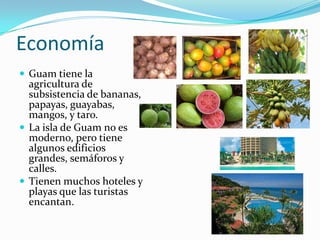 Economía
 Guam tiene la
agricultura de
subsistencia de bananas,
papayas, guayabas,
mangos, y taro.
 La isla de Guam no es
moderno, pero tiene
algunos edificios
grandes, semáforos y
calles.
 Tienen muchos hoteles y
playas que las turistas
encantan.
 