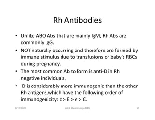 Rhesus Blood Group System | PDF