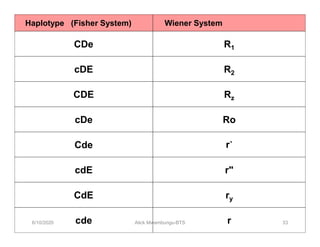 Rhesus Blood Group System | PDF