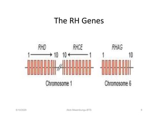 Rhesus Blood Group System | PDF