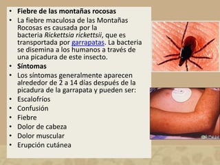 • Fiebre de las montañas rocosas 
• La fiebre maculosa de las Montañas 
Rocosas es causada por la 
bacteria Rickettsia rickettsii, que es 
transportada por garrapatas. La bacteria 
se disemina a los humanos a través de 
una picadura de este insecto. 
• Síntomas 
• Los síntomas generalmente aparecen 
alrededor de 2 a 14 días después de la 
picadura de la garrapata y pueden ser: 
• Escalofríos 
• Confusión 
• Fiebre 
• Dolor de cabeza 
• Dolor muscular 
• Erupción cutánea 
