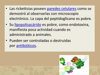 • Las rickettsias poseen paredes celulares como se 
demostró al observarlas con microscopio 
electrónico. La capa del peptidoglicano es pobre. 
• Su lipopolisacárido es pobre, como endotoxina, 
manifiesta poca actividad cuando es 
administrado a animales. 
• Pueden ser controladas o destruidas 
por antibióticos. 
 