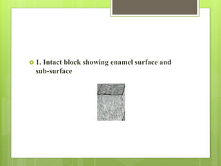  1. Intact block showing enamel surface and
sub-surface
 