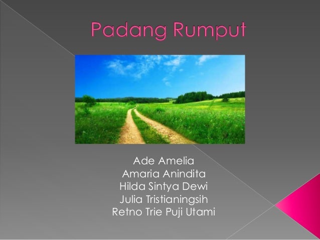 Unduh 860 Background Power Point Rumput Gratis Terbaru