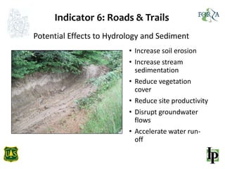 Indicator 6: Roads & Trails
• Increase soil erosion
• Increase stream
sedimentation
• Reduce vegetation
cover
• Reduce site productivity
• Disrupt groundwater
flows
• Accelerate water run-
off
Potential Effects to Hydrology and Sediment
 