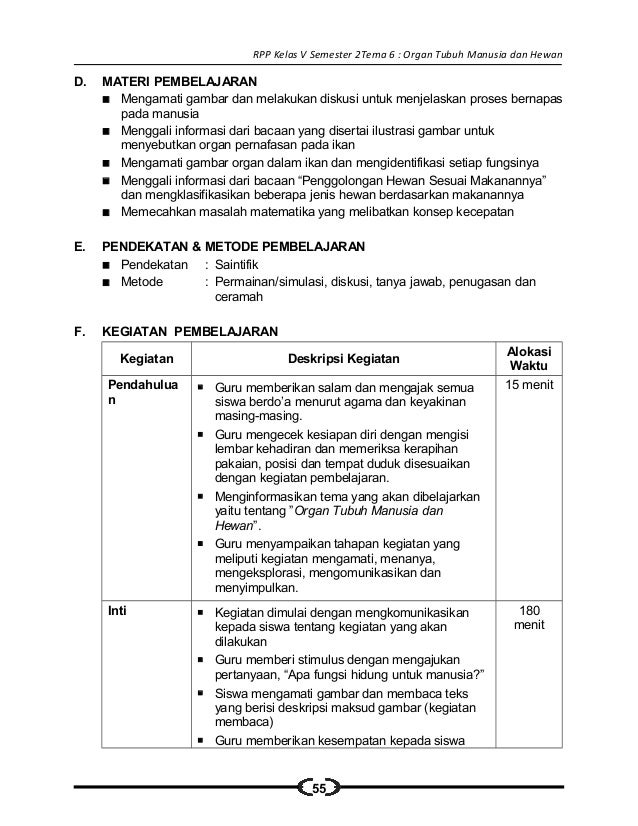 6 Rpp Sd Kelas 5 Semester 2 Organ Tubuh Manusia Dan Hewan 6 Rpp Sd Kelas 5 Semester 2 Organ Tubuh Manusia Dan Hewan