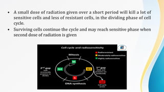 Comprehensive Overview of Radiobiology Principles and Applications in ...