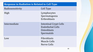 Comprehensive Overview of Radiobiology Principles and Applications in ...