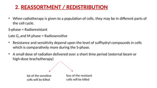 Comprehensive Overview of the 6 R’s of Radiobiology in Fractionated ...
