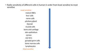 Comprehensive Overview of the 6 R’s of Radiobiology in Fractionated ...