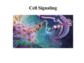 Cell Signaling
 