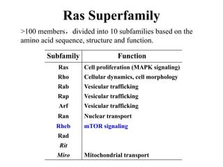 6 RTK signaling MAPK Akt.pdfCell signaling presentation | PDF