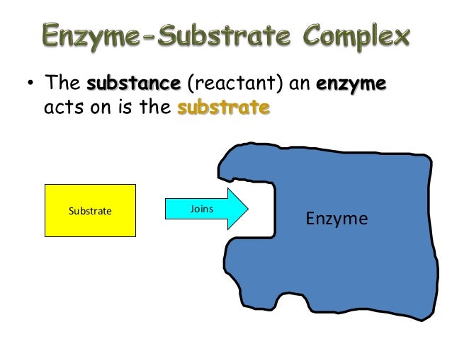 Enzymes