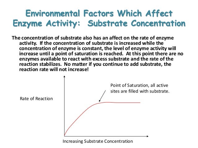 factors that influence catalase activity Catalase functions best at around 37 degrees celsius -- as the temperature gets warmer or cooler than that, its ability to function will decrease. factors that influence catalase activity Catalase functions best at around 37 degrees celsius -- as the temperature gets warmer or cooler than that, its ability to function will decrease.