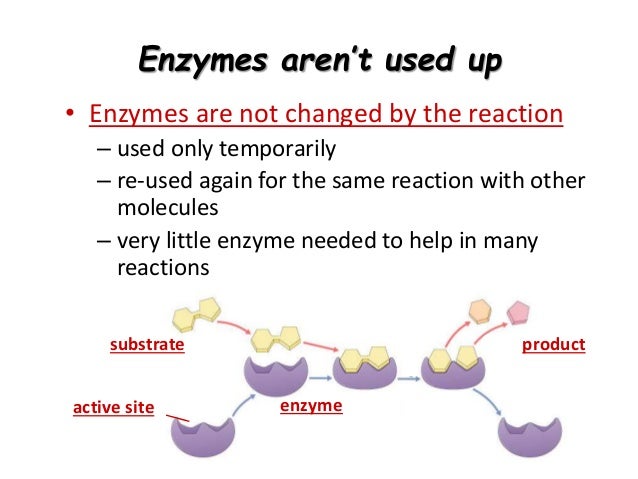 Enzymes