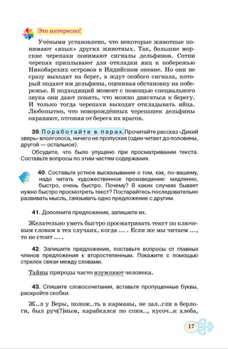 Это интересно!
Учёными установлено, что некоторые животные по­
нимают «язык» других животных. Так, большие мор­
ские черепахи понимают сигналы дельфинов. Сотни
черепах приплывают для откладки яиц к побережью
Никобарских островов в Индийском океане. Но они не
сразу выходят на берег, а ждут особого сигнала, кото­
рый подают им дельфины, оценивая обстановку на побе­
режье. В подходящий момент с помощью специального
звука они дают понять, что можно двигаться к берегу.
И только тогда черепахи выходят откладывать яйца.
Любопытно, что новорождённых черепашек дельфины
охраняют, отгоняя от берега их врагов.
39. П о р а б о т а й т е в п а р ах. Прочитайте рассказ «Дикий
зверь» вполголоса, ничего не пропуская (один читает до половины,
другой — остальное).
Обсудите, что было упущено при просматривании текста.
Составьте вопросы по этим частям содержания.
40. Составьте устное высказывание о том, как, по-вашему,
надо читать художественное произведение: медленно,
быстро, очень быстро. Почему? В каких случаях бывает
нужно быстро просмотреть текст? Постарайтесь последовательно
развивать мысль, связывать одно предложение с другим.
41. Дополните предложения, запишите их.
Желательно уметь быстро просматривать текст по ключе­
вым словам в тех случаях, когда .... Если же мы читаем ...,
то не стоит ....
42. Запишите предложение, поставьте вопросы от главных
членов предложения к второстепенным. Покажите с помощью
стрелок связи между словами.
Тайны природы часто изумляют человека.
43. Спишите словосочетания, вставьте пропущенные буквы,
раскройте скобки.
Ж ..л у Веры, положить в карманы, не зал..гли в берло­
ги, был руч(?)ным, карабкался по спин.., кусоч..к хлеба,
 