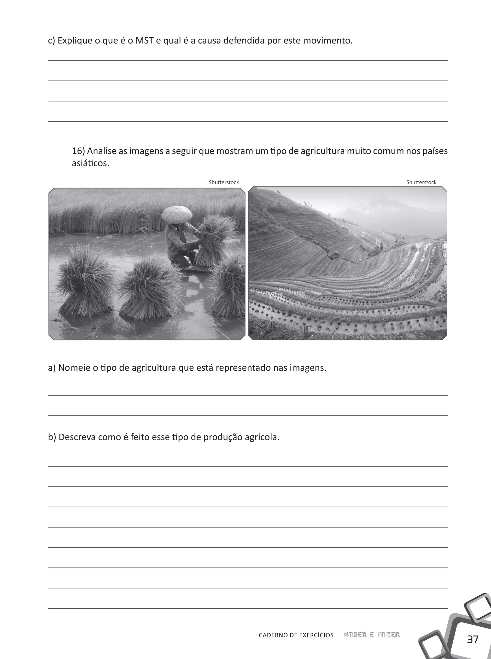 37
Saber e FazerCADERNO DE EXERCÍCIOS
c) Explique o que é o MST e qual é a causa defendida por este movimento.
16) Analise as imagens a seguir que mostram um tipo de agricultura muito comum nos países
asiáticos.
a) Nomeie o tipo de agricultura que está representado nas imagens.
b) Descreva como é feito esse tipo de produção agrícola.
ShutterstockShutterstock
 