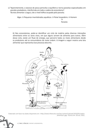 10
6.° ano | ciências Ensino Fundamental
c) “Aparentemente, o excesso de pesca perturba o equilíbrio e torna parasitas especializados em
grandes predadores, interferindo em toda a cadeia do ecossistema”. 				
Na teia alimentar a seguir, cite o nível trófico ocupado pelo parasita.
Algas → Pequenos invertebrados aquáticos → Peixe hospedeiro → Homem
										 Parasita
6) Nos ecossistemas, pode-se identificar um ciclo de matéria pelas diversas interações
alimentares entre os seres vivos, em que alguns servem de alimento para outros. Além
desse ciclo, existe um fluxo de energia, que percorre todos os níveis alimentares desde
os produtores até os consumidores de maior ordem. A imagem a seguir mostra uma teia
alimentar que representa esse processo descrito.
Elaborado com base nos dados disponíveis em: <http://www.infoescola.com/wp-content/uploads/2010/05/cadeia-
alimentar1.jpg>. Acesso em: 30 out. 2012.
→
Gavião
Rato
Tico-tico
Ave costeira
Pato
Camundongo
Musaranho
Gafanhoto Peixe 1
Garça
Plantas terrestres e
de pântanos Plantas marinhas e
algas
Peixe 2
Molusco marinho
 