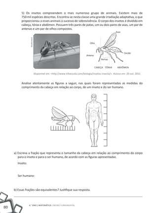 80
6.° ano | MATEMÁTICA Ensino Fundamental
5) Os insetos compreendem o mais numeroso grupo de animais. Existem mais de
750 mil espécies descritas. Encontra-se nesta classe uma grande irradiação adaptativa, o que
proporcionou a esses animais o sucesso de sobrevivência. O corpo dos insetos é dividido em
cabeça, tórax e abdômen. Possuem três pares de patas, um ou dois pares de asas, um par de
antenas e um par de olhos compostos.
			
Disponível em: <http://www.infoescola.com/biologia/insetos-insecta/>. Acesso em: 20 out. 2012.
Analise atentamente as figuras a seguir, nas quais foram representadas as medidas do
comprimento da cabeça em relação ao corpo, de um inseto e do ser humano.
a) Escreva a fração que representa o tamanho da cabeça em relação ao comprimento do corpo
para o inseto e para o ser humano, de acordo com as figuras apresentadas.
Inseto:
Ser humano:
b) Essas frações são equivalentes? Justifique sua resposta.
Cabeça
Antena
Ferrão
Pernas
Olho
Asas
tórax ABDÔMEN
Shutterstock
 