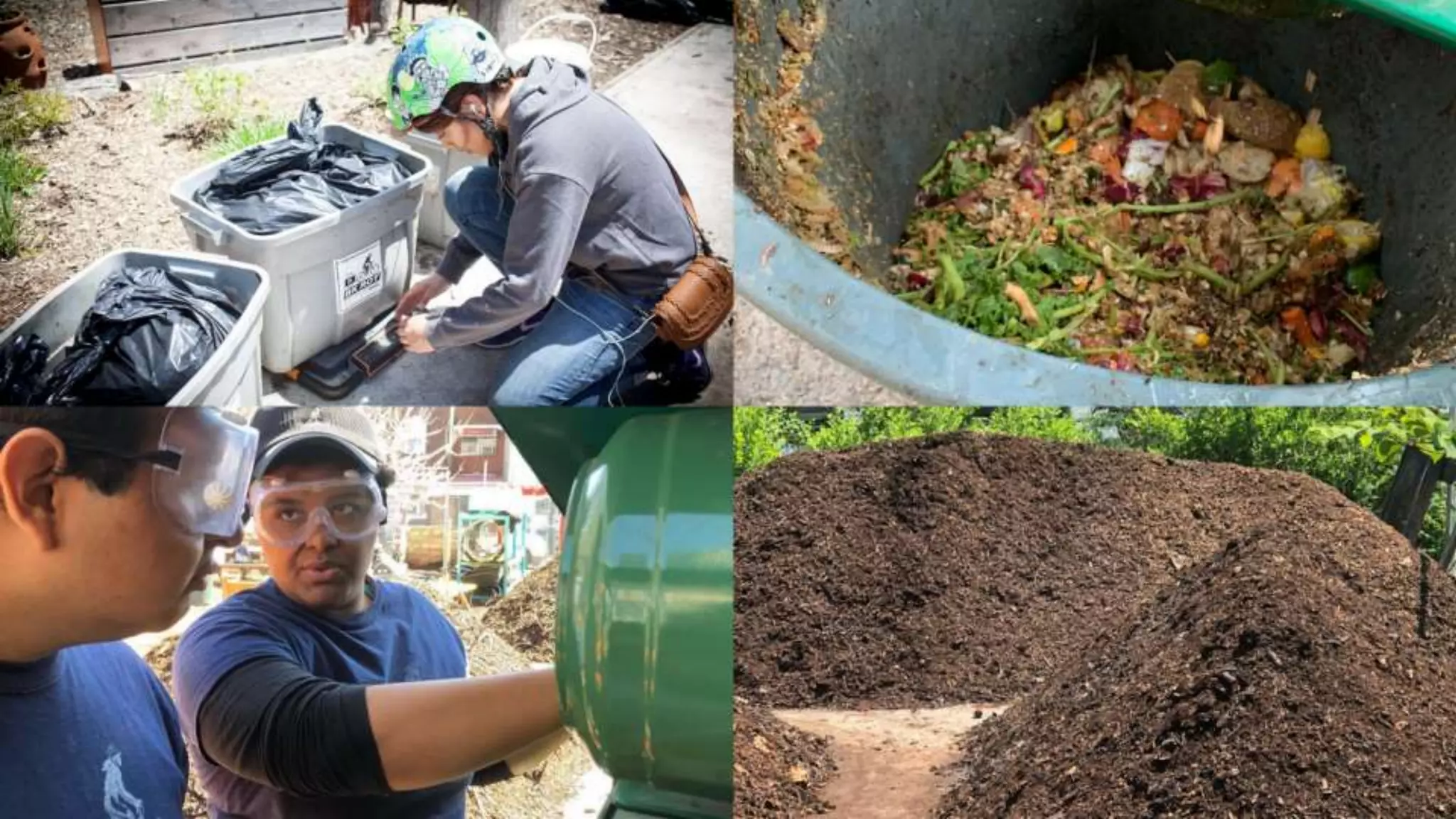Youth-Led Collection & Composting Enterprise