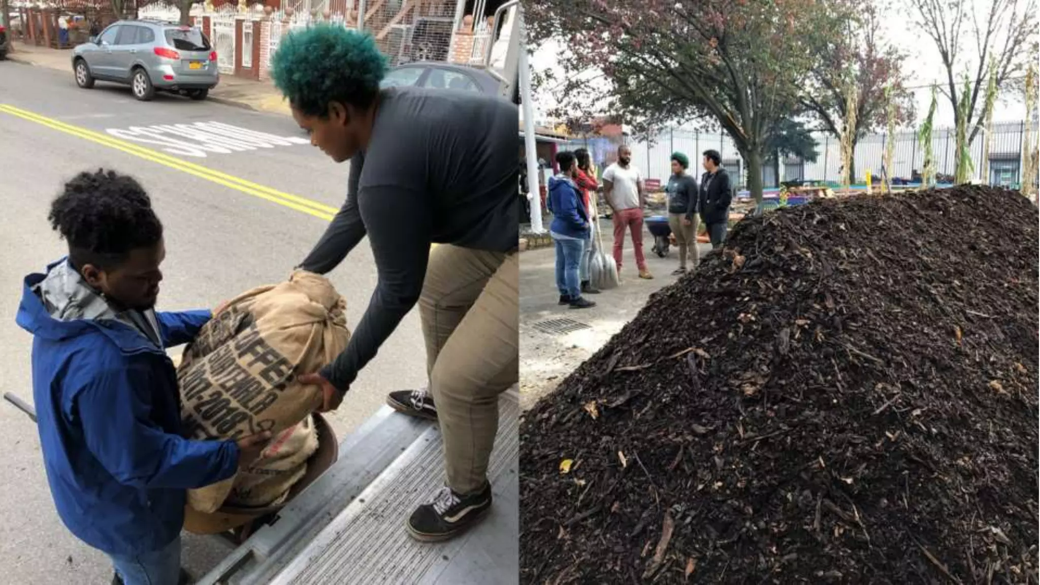 Youth-Led Collection & Composting Enterprise