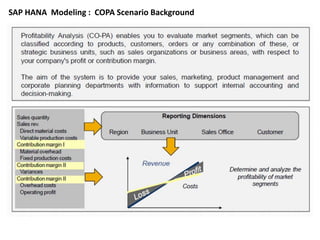 SAP HANA Reporting - SAP HANA Tutorial | PDF