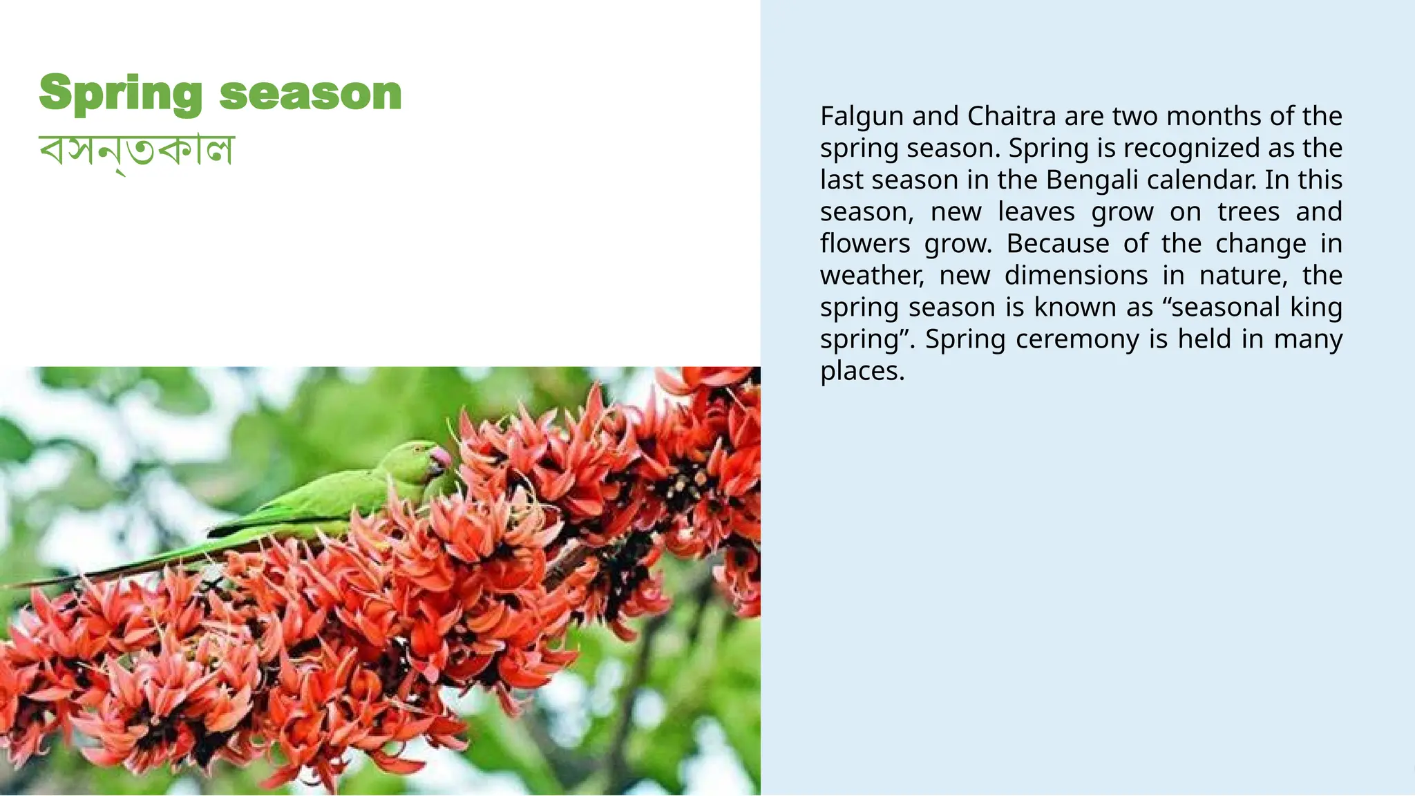 6 Seasons In Bangladesh That You Can Exolore pptx 6-seasons-in-bangladesh-that-you-can-exolore-pptx
