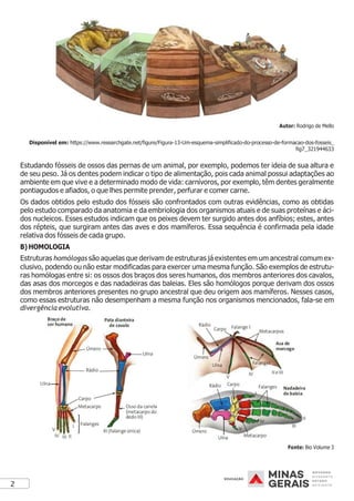 2
Autor: Rodrigo de Mello
Disponível em: https://www.researchgate.net/figure/Figura-13-Um-esquema-simplificado-do-processo-de-formacao-dos-fosseis_
fig7_321944633
Estudando fósseis de ossos das pernas de um animal, por exemplo, podemos ter ideia de sua altura e
de seu peso. Já os dentes podem indicar o tipo de alimentação, pois cada animal possui adaptações ao
ambiente em que vive e a determinado modo de vida: carnívoros, por exemplo, têm dentes geralmente
pontiagudos e afiados, o que lhes permite prender, perfurar e comer carne.
Os dados obtidos pelo estudo dos fósseis são confrontados com outras evidências, como as obtidas
pelo estudo comparado da anatomia e da embriologia dos organismos atuais e de suas proteínas e áci-
dos nucleicos. Esses estudos indicam que os peixes devem ter surgido antes dos anfíbios; estes, antes
dos répteis, que surgiram antes das aves e dos mamíferos. Essa sequência é confirmada pela idade
relativa dos fósseis de cada grupo.
B) HOMOLOGIA
Estruturas homólogas são aquelas que derivam de estruturas já existentes em um ancestral comum ex-
clusivo, podendo ou não estar modificadas para exercer uma mesma função. São exemplos de estrutu-
ras homólogas entre si: os ossos dos braços dos seres humanos, dos membros anteriores dos cavalos,
das asas dos morcegos e das nadadeiras das baleias. Eles são homólogos porque derivam dos ossos
dos membros anteriores presentes no grupo ancestral que deu origem aos mamíferos. Nesses casos,
como essas estruturas não desempenham a mesma função nos organismos mencionados, fala-se em
divergência evolutiva.
Fonte: Bio Volume 3
 