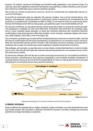 3
Existem, no entanto, estruturas homólogas que também estão adaptadas a uma mesma função. É o
caso dos ossos das nadadeiras anteriores das baleias e dos golfinhos, ambos mamíferos com os mem-
bros anteriores modificados para a vida em ambiente aquático.
Nos estudos de relações de parentesco evolutivo, devem ser considerados nas comparações apenas ca-
racteres homólogos.
O conceito de homologia pode ser aplicado não apenas a órgãos, mas a outras características: ana-
tômicas, embriológicas, comportamentais e moleculares (como a sequência de aminoácidos de uma
proteína ou a sequência de nucleotídeos no DNA ou RNA). É com base em todo um conjunto de seme-
lhanças (homologias) entre dois ou mais grupos, que podemos supor uma ancestralidade comum.
No caso dos mamíferos, um ancestral exclusivo desse grupo deu origem a um grande número de espé-
cies adaptadas a condições de vida muito diferentes. Chamamos esse fenômeno de irradiação adap-
tativa. Como resultado dessa evolução, os ossos dos membros anteriores dos mamíferos sofreram
modificações e hoje desempenham diferentes funções: correr (cavalo); manipular objetos (ser huma-
no); nadar (baleia); cavar (tatu); voar (morcego); etc.
Há, no entanto, caracteres que se assemelham simplesmente por exercerem a mesma função, mas não
derivam de modificações de estruturas semelhantes, já existentes em um ancestral comum exclusivo.
Estas são semelhantes apenas quanto à função e são chamadas estruturas análogas. Esse tipo de se-
melhança não é usado nos estudos que visam estabelecer relações de parentesco evolutivo.
São análogas, por exemplo, as asas das aves e as dos insetos: ambas desempenham a mesma função,
que é o voo, mas não são derivadas das mesmas estruturas presentes em um ancestral comum exclu-
sivo entre aves e insetos.
As estruturas análogas são fruto do que se chama evolução convergente (ou convergência evolutiva).
Nesse processo a semelhança se deve apenas à adaptação a uma condição ecológica semelhante. A
evolução dessas estruturas ocorre de forma independente em dois ou mais grupos de seres vivos que
não possuem um ancestral comum mais recente e exclusivo.
Fonte: Bio Volume 3
Esquema de homologia entre ossos dos membros anteriores dos mamíferos
C) ÓRGÃOS VESTIGIAIS
Outra evidência da evolução são os órgãos vestigiais, órgãos atrofiados, que não desempenham mais
sua função original. São exemplos o apêndice vermiforme humano e os ossos vestigiais de membros
posteriores em algumas baleias e serpentes.
 