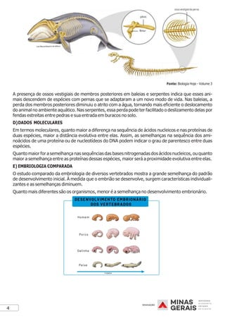 4
Fonte: Biologia Hoje - Volume 3
A presença de ossos vestigiais de membros posteriores em baleias e serpentes indica que esses ani-
mais descendem de espécies com pernas que se adaptaram a um novo modo de vida. Nas baleias, a
perda dos membros posteriores diminuiu o atrito com a água, tornando mais eficiente o deslocamento
do animal no ambiente aquático. Nas serpentes, essa perda pode ter facilitado o deslizamento delas por
fendas estreitas entre pedras e sua entrada em buracos no solo.
D)DADOS MOLECULARES
Em termos moleculares, quanto maior a diferença na sequência de ácidos nucleicos e nas proteínas de
duas espécies, maior a distância evolutiva entre elas. Assim, as semelhanças na sequência dos ami-
noácidos de uma proteína ou de nucleotídeos do DNA podem indicar o grau de parentesco entre duas
espécies.
Quanto maior for a semelhança nas sequências das bases nitrogenadas dos ácidos nucleicos, ou quanto
maior a semelhança entre as proteínas dessas espécies, maior será a proximidade evolutiva entre elas.
E) EMBRIOLOGIA COMPARADA
O estudo comparado da embriologia de diversos vertebrados mostra a grande semelhança do padrão
de desenvolvimento inicial. À medida que o embrião se desenvolve, surgem características individuali-
zantes e as semelhanças diminuem.
Quanto mais diferentes são os organismos, menor é a semelhança no desenvolvimento embrionário.
 